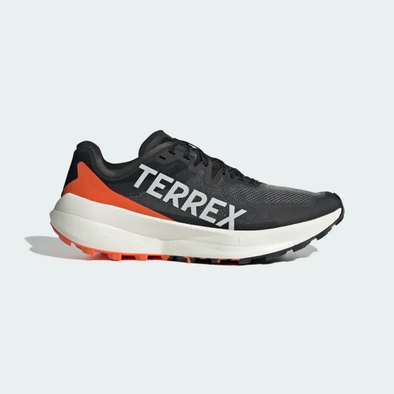 Кросівки adidas terrex agravic