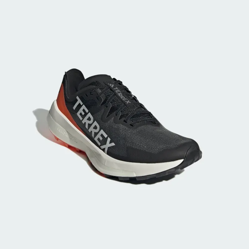 Кросівки adidas terrex agravic